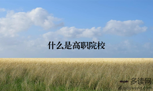 什么是高职院校