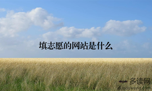 填志愿的网站是什么