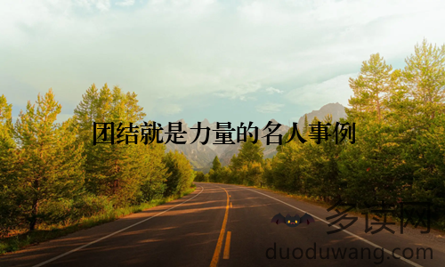 团结就是力量的名人事例