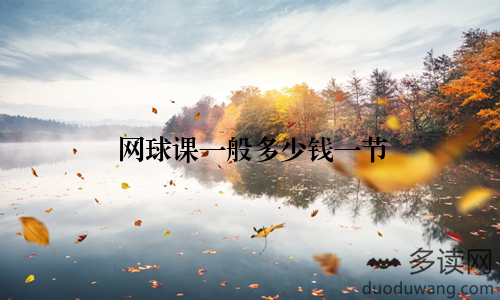 网球课一般多少钱一节