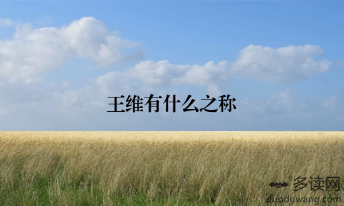 王维有什么之称