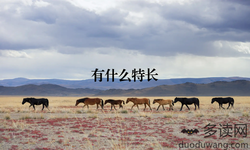 有什么特长