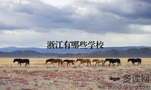 浙江有哪些学校