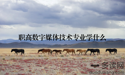 职高数字媒体技术专业学什么