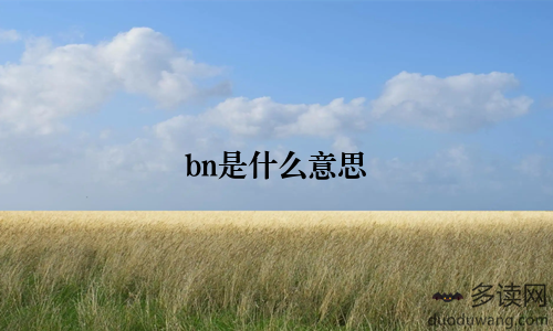 bn是什么意思