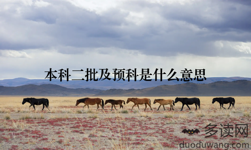 本科二批及预科是什么意思