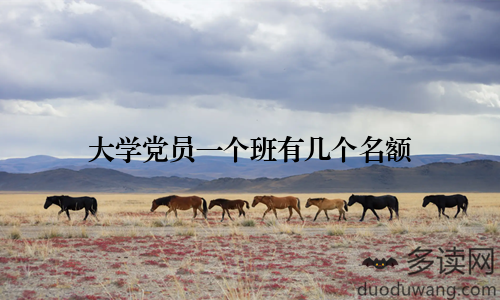 大学党员一个班有几个名额