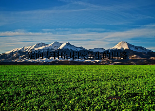 定向专科临床医学生的出路