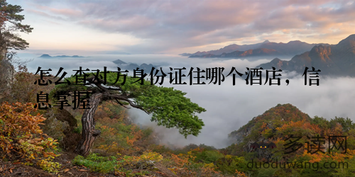 怎么查对方身份证住哪个酒店，信息掌握