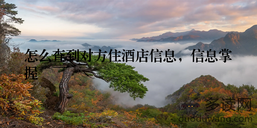 怎么查到对方住酒店信息，信息掌握