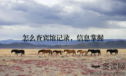 怎么查宾馆记录，信息掌握