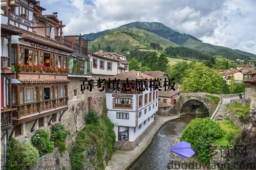 高考填志愿模板