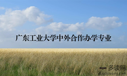 广东工业大学中外合作办学专业