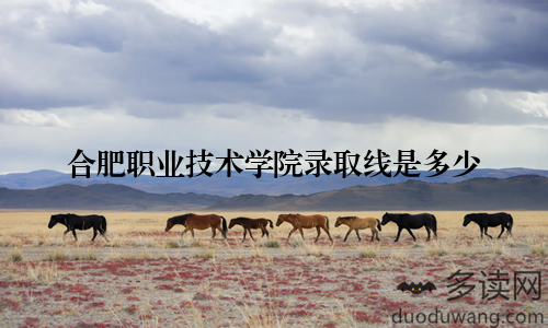 合肥职业技术学院录取线是多少