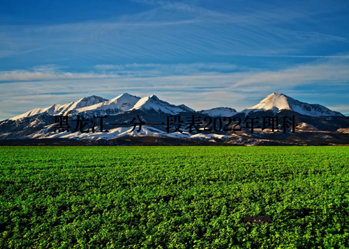 黑龙江一分一段表2022年理科