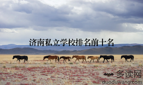 济南私立学校排名前十名