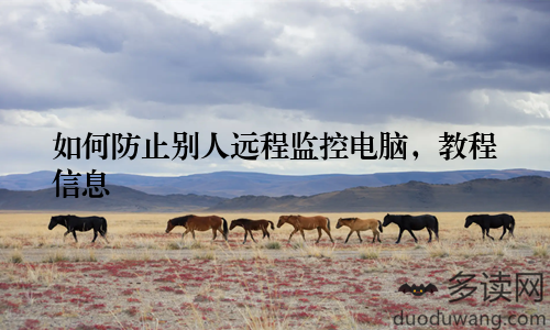 如何防止别人远程监控电脑,教程信息