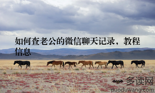 如何查老公的微信聊天记录,教程信息