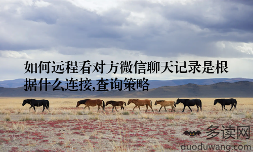 如何远程看对方微信聊天记录是根据什么连接,查询策略