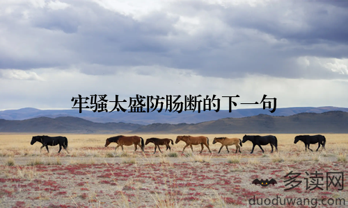 牢骚太盛防肠断的下一句