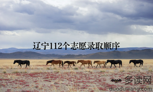 辽宁112个志愿录取顺序