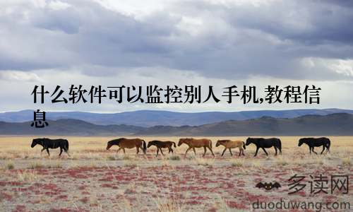 什么软件可以监控别人手机,教程信息