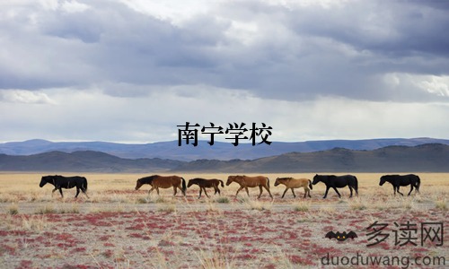 南宁学校