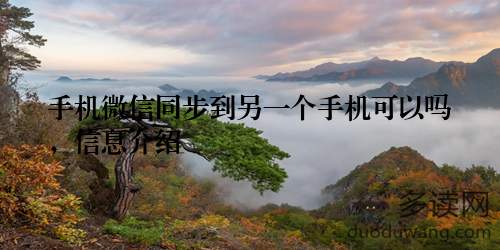 手机微信同步到另一个手机可以吗，信息介绍