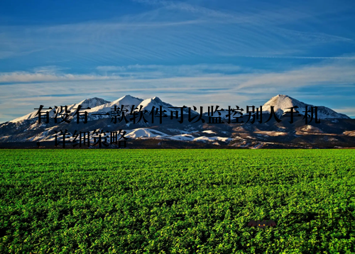 有没有一款软件可以监控别人手机，详细策略