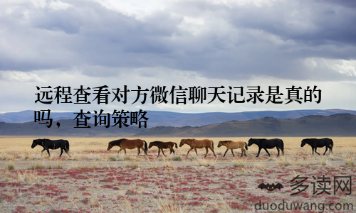 远程查看对方微信聊天记录是真的吗，查询策略