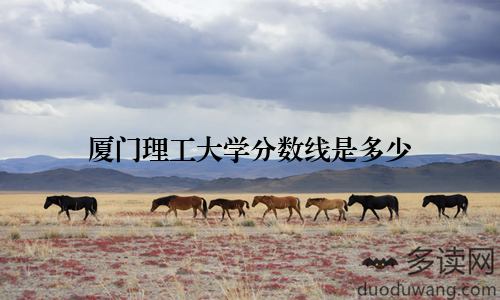 厦门理工大学分数线是多少