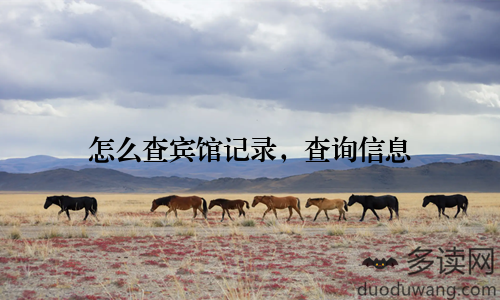 怎么查宾馆记录，查询信息