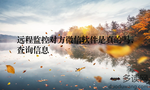 远程监控对方微信软件是真的吗，查询信息