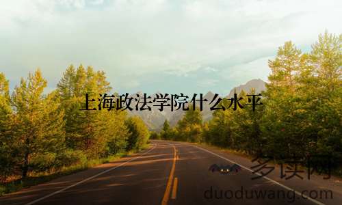 上海政法学院什么水平