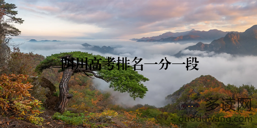四川高考排名一分一段