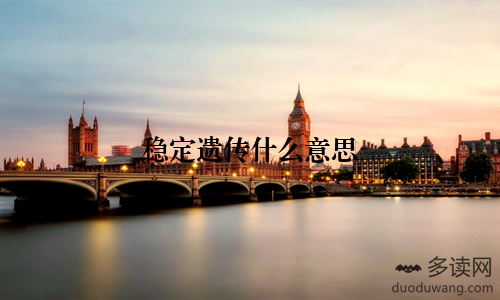 稳定遗传什么意思
