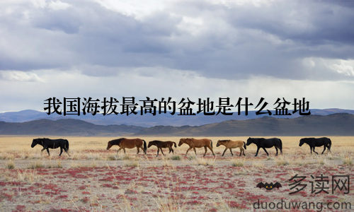 我国海拔最高的盆地是什么盆地