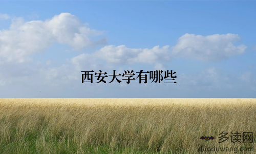 西安大学有哪些