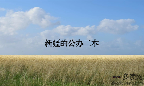 新疆的公办二本