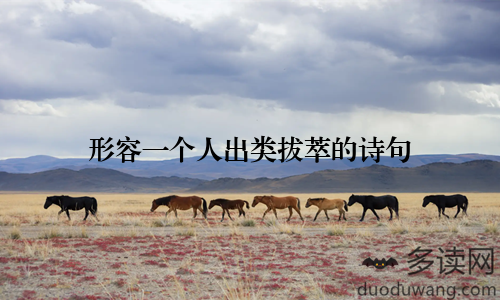 形容一个人出类拔萃的诗句