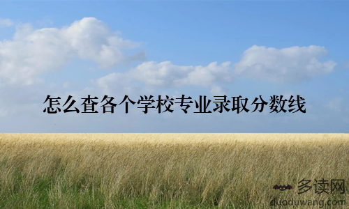 怎么查各个学校专业录取分数线