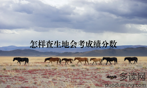 怎样查生地会考成绩分数