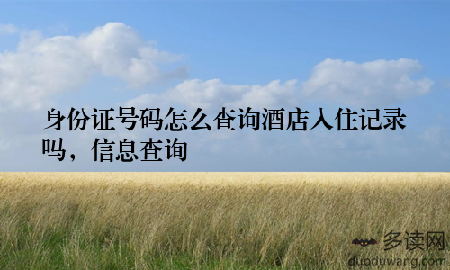 身份证号码怎么查询酒店入住记录吗，信息查询