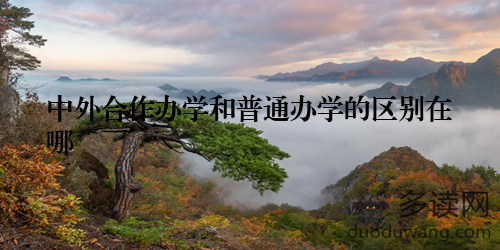 中外合作办学和普通办学的区别在哪