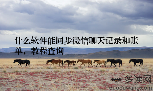 什么软件能同步微信聊天记录和账单，教程查询