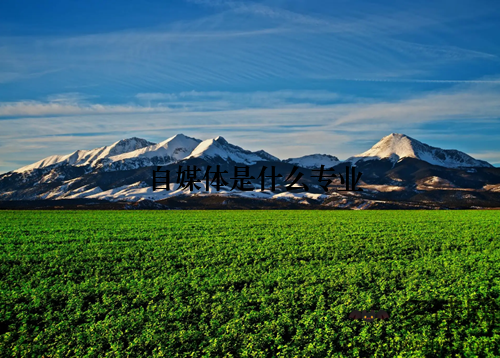 自媒体是什么专业