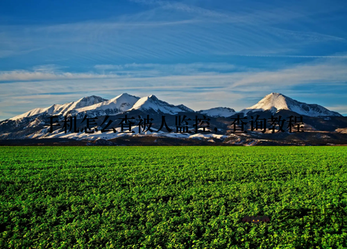 手机怎么查被人监控,查询教程