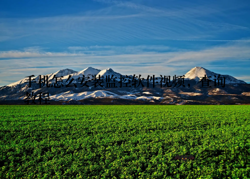 手机怎么安装监控软件视频,查询教程
