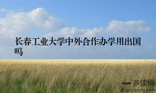 长春工业大学中外合作办学用出国吗