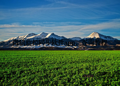 微信监控同步软件app,查询教程